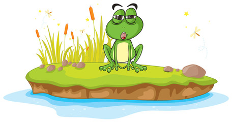 Fototapeta premium a frog and water