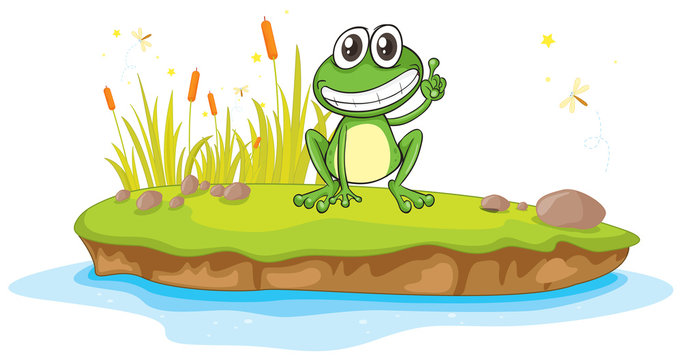 a frog and water