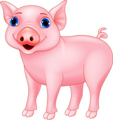 Funny pig cartoon