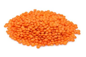 Red Lentil