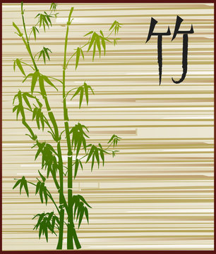 green bamboo on wooden background