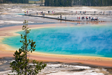 Grand Prismatic spring - Parc de Yellowstone, USA
