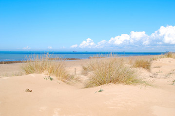 PARAJE NATURAL, MARÍTIMO. CHIPIONA, CÁDIZ, ANDALUCÍA