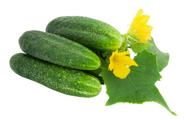 Cucumbers isolated on a white background