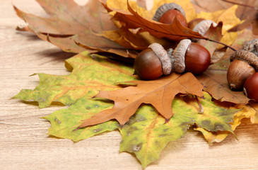 brown acorns on autumn leaves, on wooden background