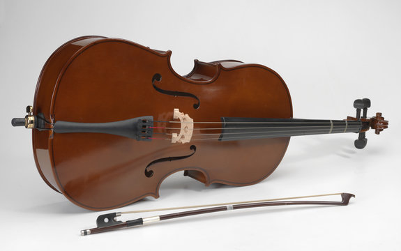 violoncello