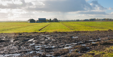 Wet field in the autumn season
