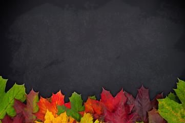 Kreidetafel mit Herbstblättern