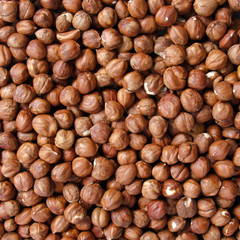 Background of ripe brown hazelnuts