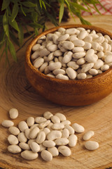 haricot bean