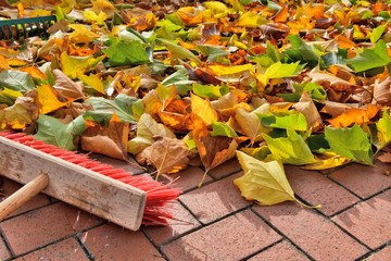 sweeping leaves