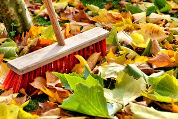 sweeping leaves