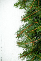 christmas fir tree