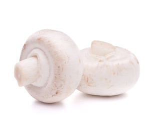 Fototapeta na wymiar Champignon mushroom