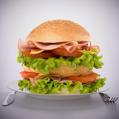 Fast food big sandwich  on plate