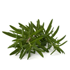Sweet rosemary leaves