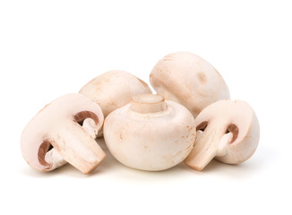Champignon mushroom