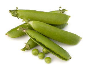 Fresh green pea pod