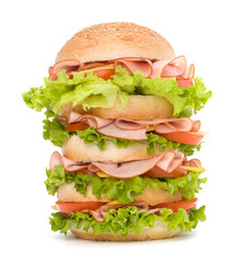 Junk food hamburger