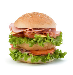 Junk food hamburger