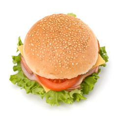 Junk food hamburger
