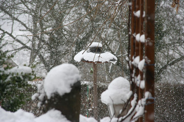 Vogelhaus im Schnee
