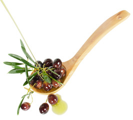 olives and loive oil