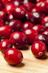 Red Ripe Cranberry