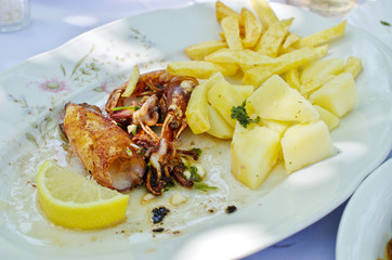 Grilled squids