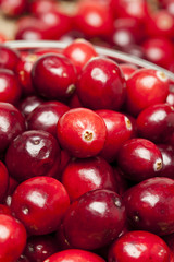 Red Ripe Cranberry