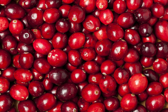 Red Ripe Cranberry