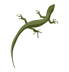 Naklejka premium トカゲ 爬虫類