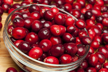 Red Ripe Cranberry