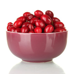 fresh cornel berries in bowl isolated on white
