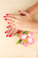 woman hands  with flower on wooden background
