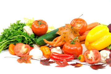 Group of different vegetables isolated on white
