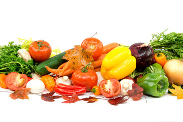 Group of different vegetables isolated on white