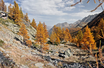 Ceresole