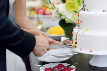 A bride and a groom are cutting a wedding cake