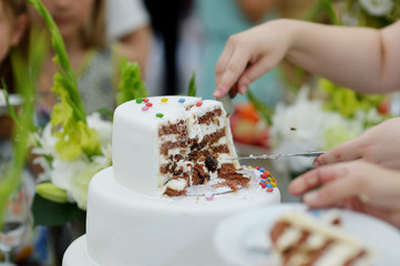 A bride and a groom are cutting a wedding cake