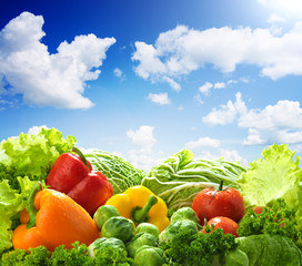 Healthy food landscape against sunny blue sky. Mixed vegetables