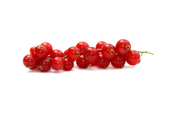 Bunch of red currant