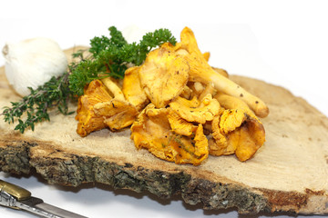 girolles