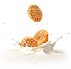 Two cookies biscuits falling into milk splashing. - obrazy, fototapety, plakaty