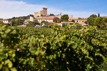Fototapeta na wymiar Wioska Chateauneuf du Pape w winnicach