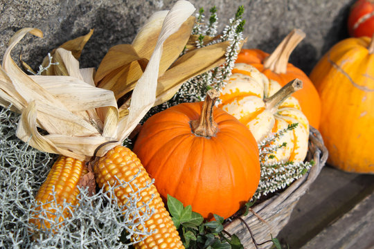 Herbstkorb mit K&uuml;rbissen