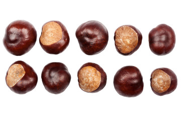 Ten conkers