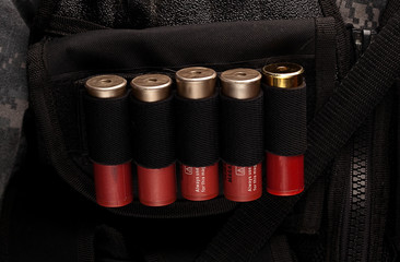 Bullets In Pouch