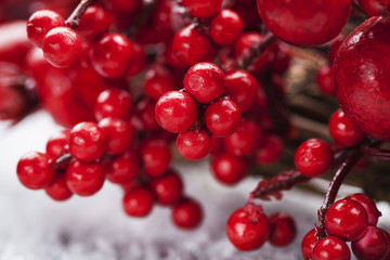 Christmas wreath berries