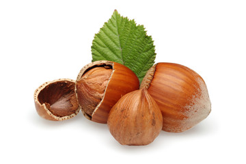 Hazelnuts Group